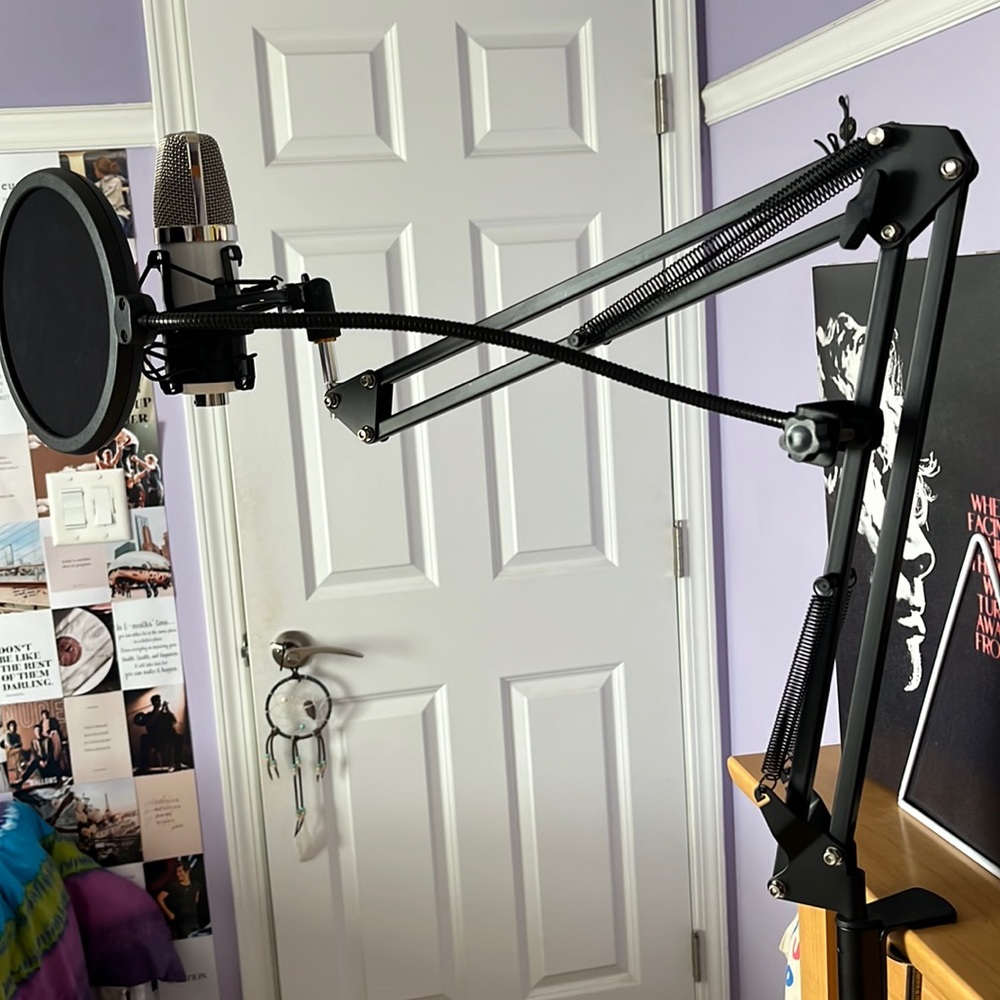 professional mic set